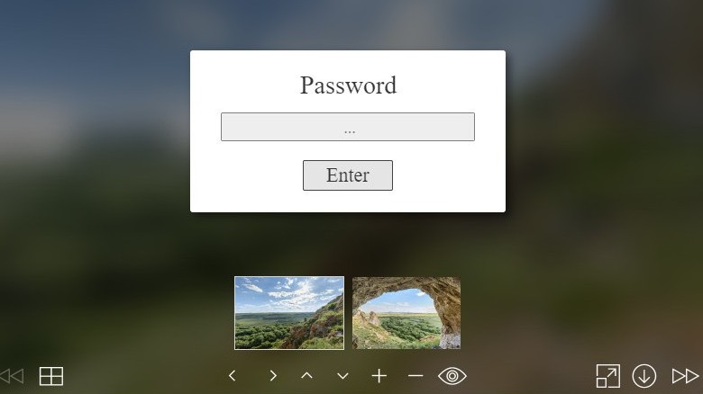 Password plugin